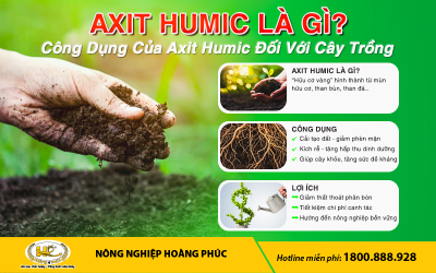 AXIT HUMIC LÀ GÌ? CÔNG DỤNG CỦA AXIT HUMIC ĐỐI VỚI CÂY TRỒNG?
