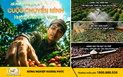 CÂY CÀ PHÊ VÀ CUỘC CHUYỂN MÌNH CỦA NÔNG NGHIỆP TÂY NGUYÊN