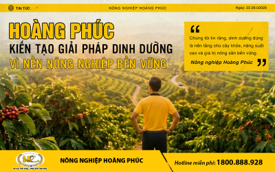 VỮNG DINH DƯỠNG – KHỎE CÂY TRỒNG – BỀN GIÁ TRỊ NÔNG SẢN