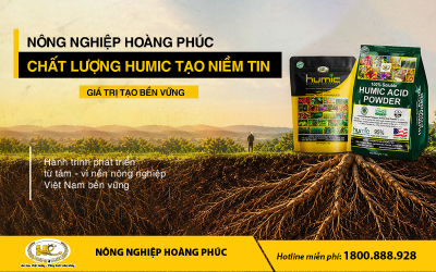 NÔNG NGHIỆP HOÀNG PHÚC – CHẤT LƯỢNG HUMIC TẠO NIỀM TIN, GIÁ TRỊ TẠO BỀN VỮNG