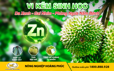 VI KẼM SINH HỌC: DA XANH, GAI NHÍM, PHÒNG NGỪA NẤM BỆNH