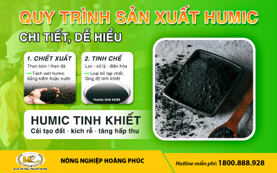 QUY TRÌNH SẢN XUẤT AXIT HUMIC CHI TIẾT, DỄ HIỂU