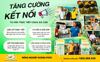 NÔNG NGHIỆP HOÀNG PHÚC TĂNG CƯỜNG KẾT NỐI, TƯ VẤN TRỰC TIẾP ĐẾN BÀ CON NÔNG DÂN 