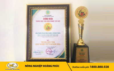 NÔNG NGHIỆP HOÀNG PHÚC THƯƠNG HIỆU VÀNG NÔNG NGHIỆP 2024