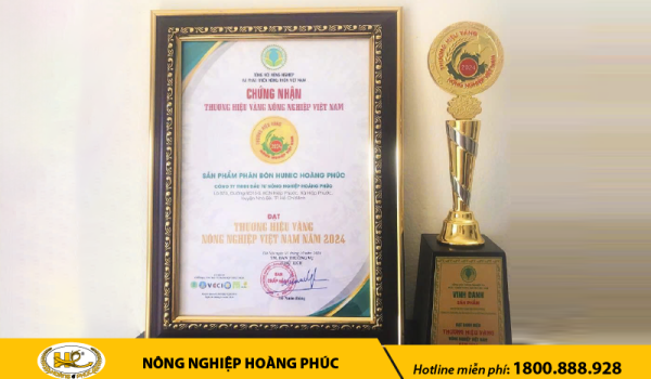NÔNG NGHIỆP HOÀNG PHÚC THƯƠNG HIỆU VÀNG NÔNG NGHIỆP 2024
