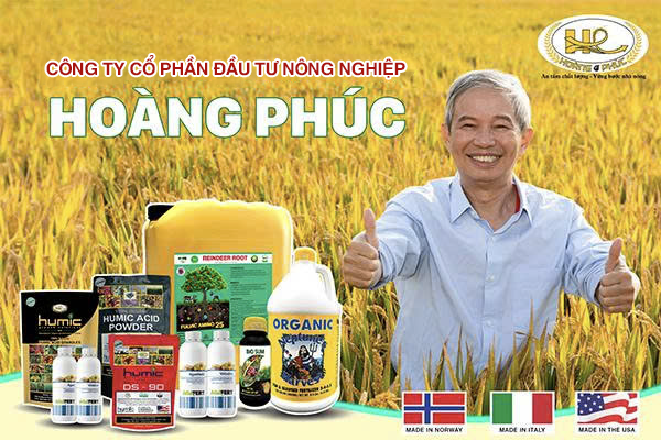 LỊCH SỬ HÌNH THÀNH
