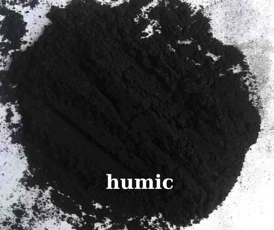 Axit humic có màu đen sẫm hoặc đen