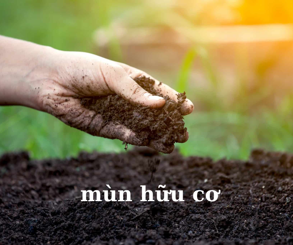Axit humic có nguồn gốc từ mùn hữu cơ